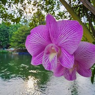 บ้านไม้ไร่เจริญ รีสอร์ทแก่งกระจาน