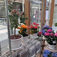 เฟิร์สเดทฟาร์ม The Circle Ratchaphruek