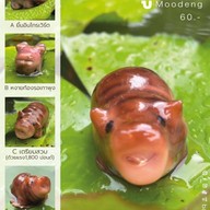 บ้านลูกชุบ อรุณอมรินทร์