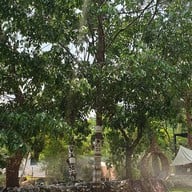 เจ้าป่า Cafe & Campsite