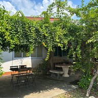 Bean ถั่วปั่น 5 สี ตาก