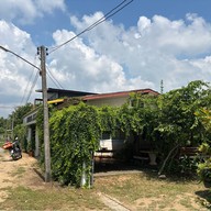 Bean ถั่วปั่น 5 สี ตาก