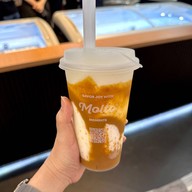 เมนูของร้าน Molto Gelato (มอลโต เจลาโต้) แฟชั่นไอส์แลนด์