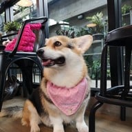 บรรยากาศ Corgi in the Garden