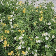 UnSleep To Sleep Cafe’&bistro -