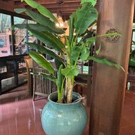 เฮือนลับแล