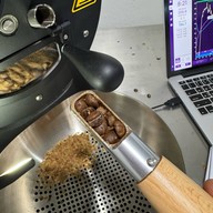 Little Coffee Roasters Bang sue