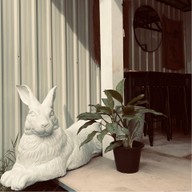 Bad habit rabbit specialty coffee