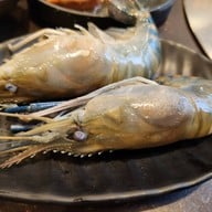 เมนูของร้าน Haris’พรีเมียม บุฟเฟ่ต์ Haris’พรีเมียม บุฟเฟ่ต์ (ฮาริส)