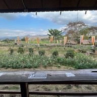 กาแฟบ้านไทลื้อ