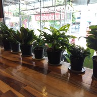 ออน เดอะ เวย์ คาเฟ่ เชียงใหม่ สาขาพระบาท ลำปาง