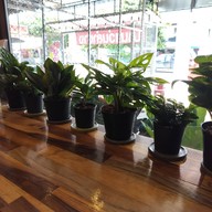 ออน เดอะ เวย์ คาเฟ่ เชียงใหม่ สาขาพระบาท ลำปาง