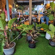 ออน เดอะ เวย์ คาเฟ่ เชียงใหม่ สาขาพระบาท ลำปาง