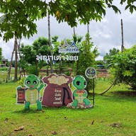 บรรยากาศ พญาเต่างอย