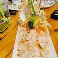 หมึกหอมเกยตื้นพัทยา