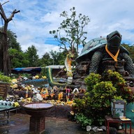 บรรยากาศ พญาเต่างอย