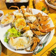 หมึกหอมเกยตื้นพัทยา