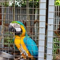 บรรยากาศ บ้าน ๑,๐๐๐ ไม้ Cafe & Farm