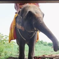 Rak chang × Ayothaya cafe