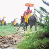 Rak chang × Ayothaya cafe