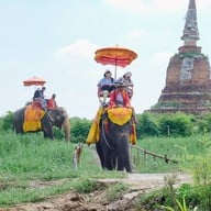 Rak chang × Ayothaya cafe