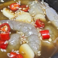 🐙🦐 ทะเลดอง มาลองดู 🦐🐙