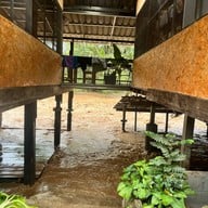 ร้านช้างยิ้มแก่งกื้ด