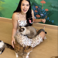 บรรยากาศ Katze Cafe คัทเซ่อะ คาเฟ่