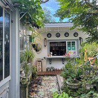 De Wila Cat hotel & cafe