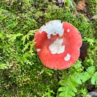 น้ำตกตาดเหมย