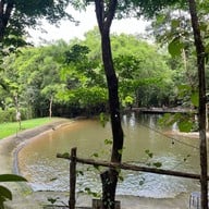 เมนูของร้าน Into The Wild