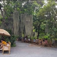 บรรยากาศ Natura Cafe