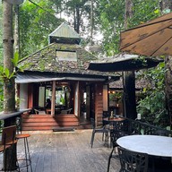 Teddu Coffee