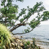 Le Jaojom Café Bistro & Bar