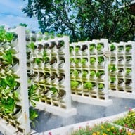 บ้านสะออน by บ้านนอกคอกนาเขาใหญ่