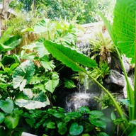 บ้านสะออน by บ้านนอกคอกนาเขาใหญ่