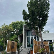 D'Duck ดีดั๊ก