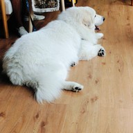 Tavi Cold Brew & Coffee พระโขนงใต้