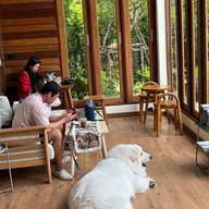 Tavi Cold Brew & Coffee พระโขนงใต้