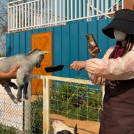 บรรยากาศ Triple T Farm Cafe