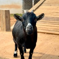 บรรยากาศ Triple T Farm Cafe