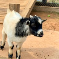 บรรยากาศ Triple T Farm Cafe