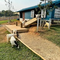 บรรยากาศ Triple T Farm Cafe