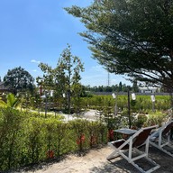 MezzoX Drip Cafe ยโสธร