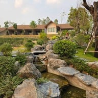 Passa - Tea Plantation At Mae On