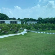 เลมอนมี kitchen 1