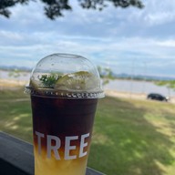 The TREE CAFE