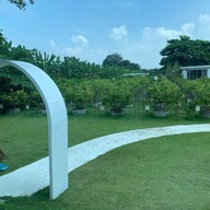 เลมอนมี kitchen 1