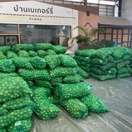 เลมอนมี kitchen 1