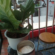 เมนูของร้าน ดอกกาแฟ ณ ตะโกลา